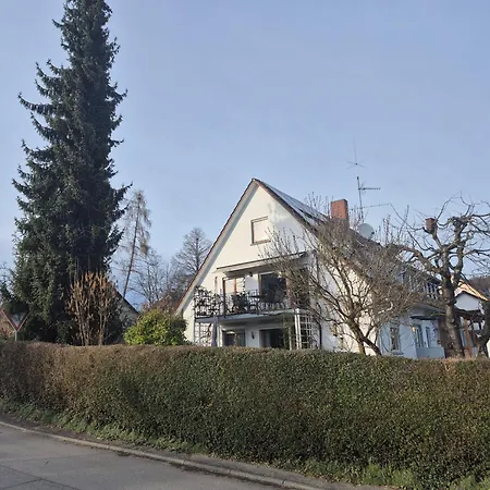 Seeschwalbe Radolfzell am Bodensee