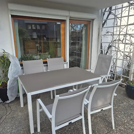 Seeschwalbe * Radolfzell am Bodensee