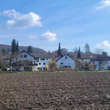 Seeschwalbe