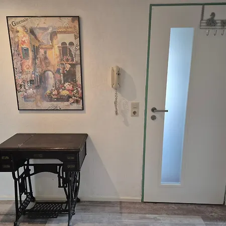 Seeschwalbe Radolfzell am Bodensee