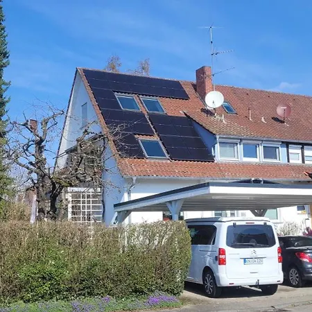 Seeschwalbe Radolfzell am Bodensee