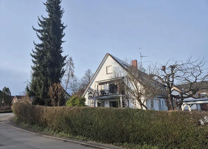 Seeschwalbe Radolfzell am Bodensee