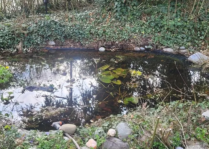 Seeschwalbe Apartment *