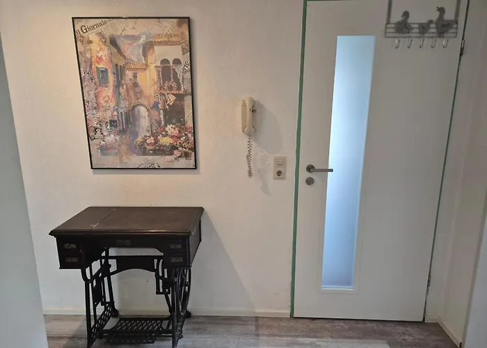 Seeschwalbe Radolfzell am Bodensee