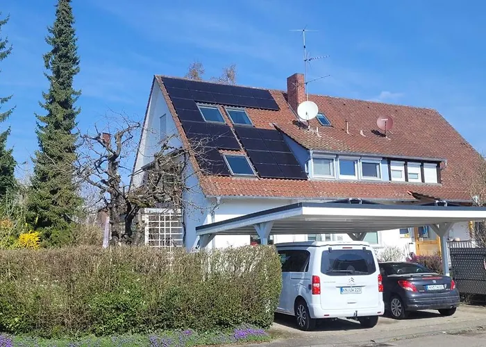 Seeschwalbe Radolfzell am Bodensee